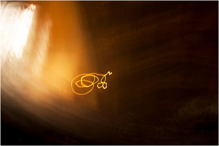 The Accomplished GuestA