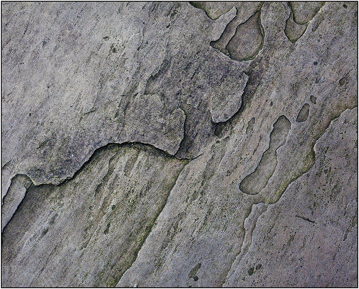 The Hurrying Home of Little MenA